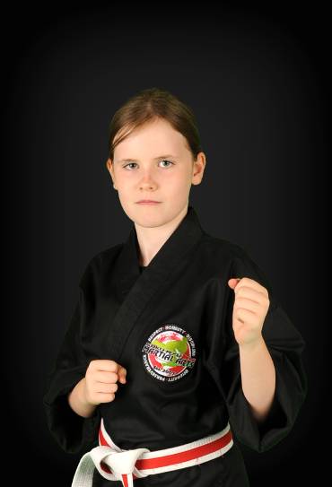 Traditional Martial Arts